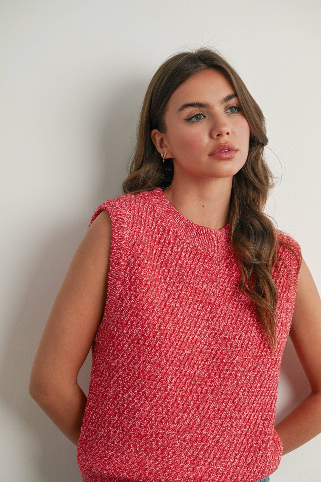 Sleeveless Crew Neck Sweater Knit Vest - elliparr