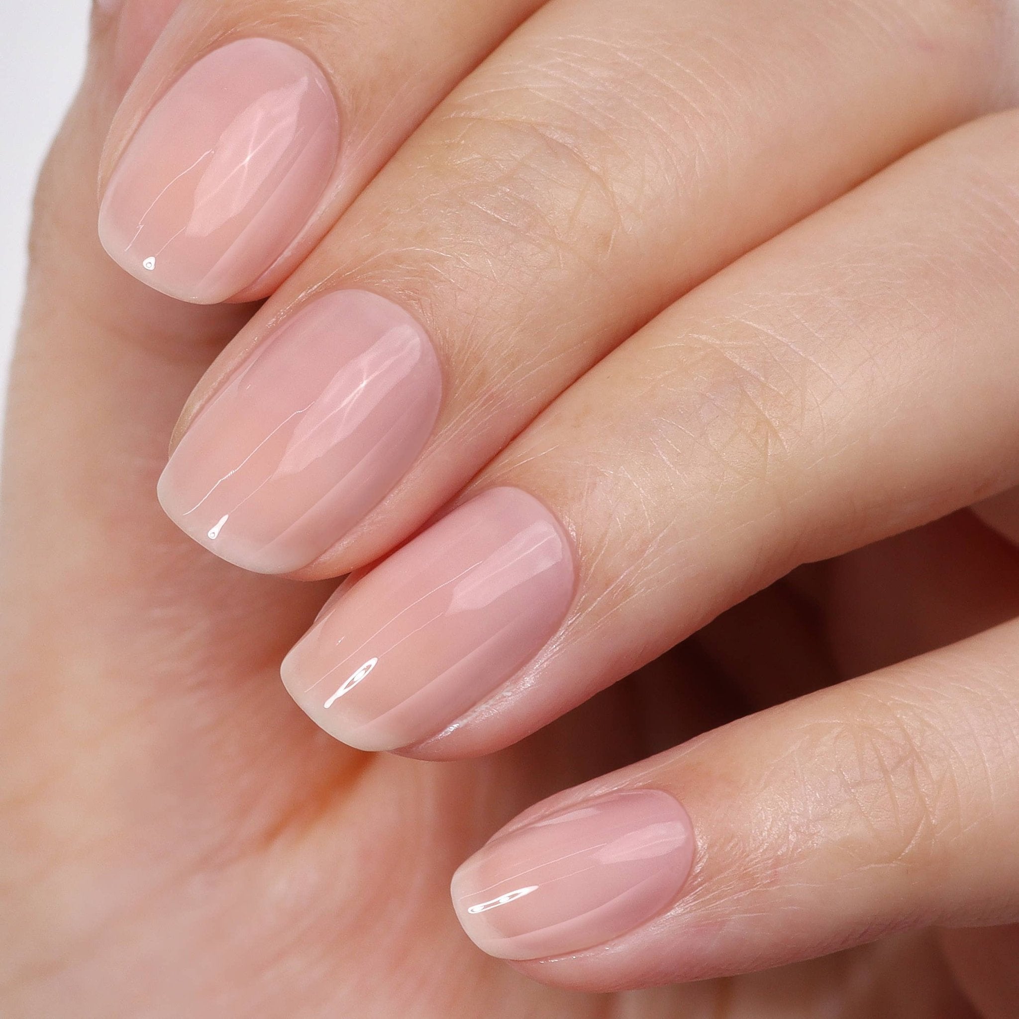 High Gloss Top Coat - elliparr