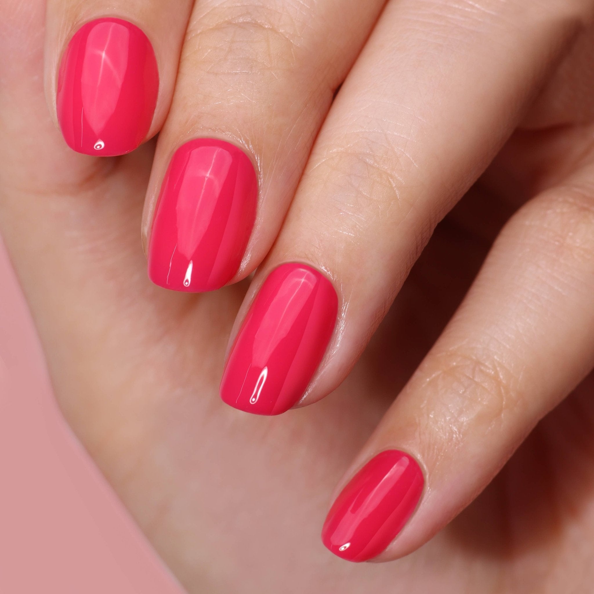 High Gloss Top Coat - elliparr