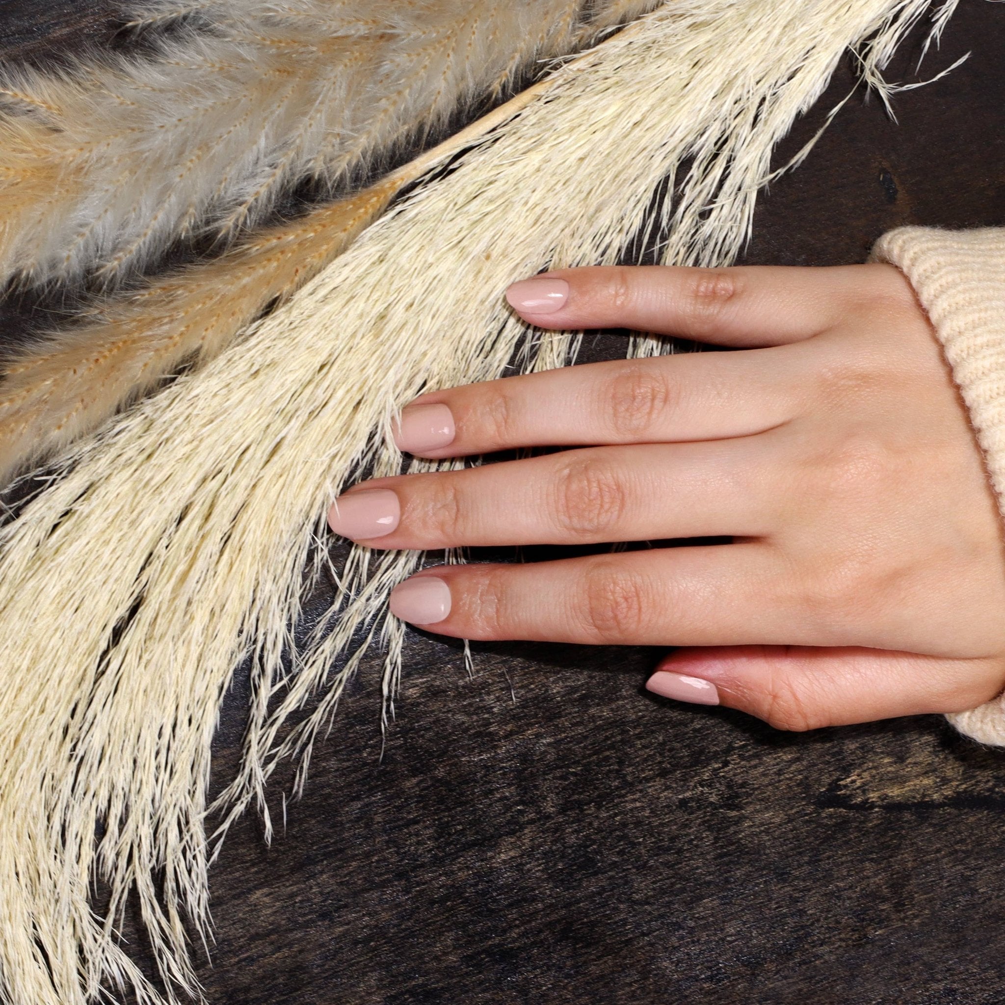 Pampas Beige - elliparr